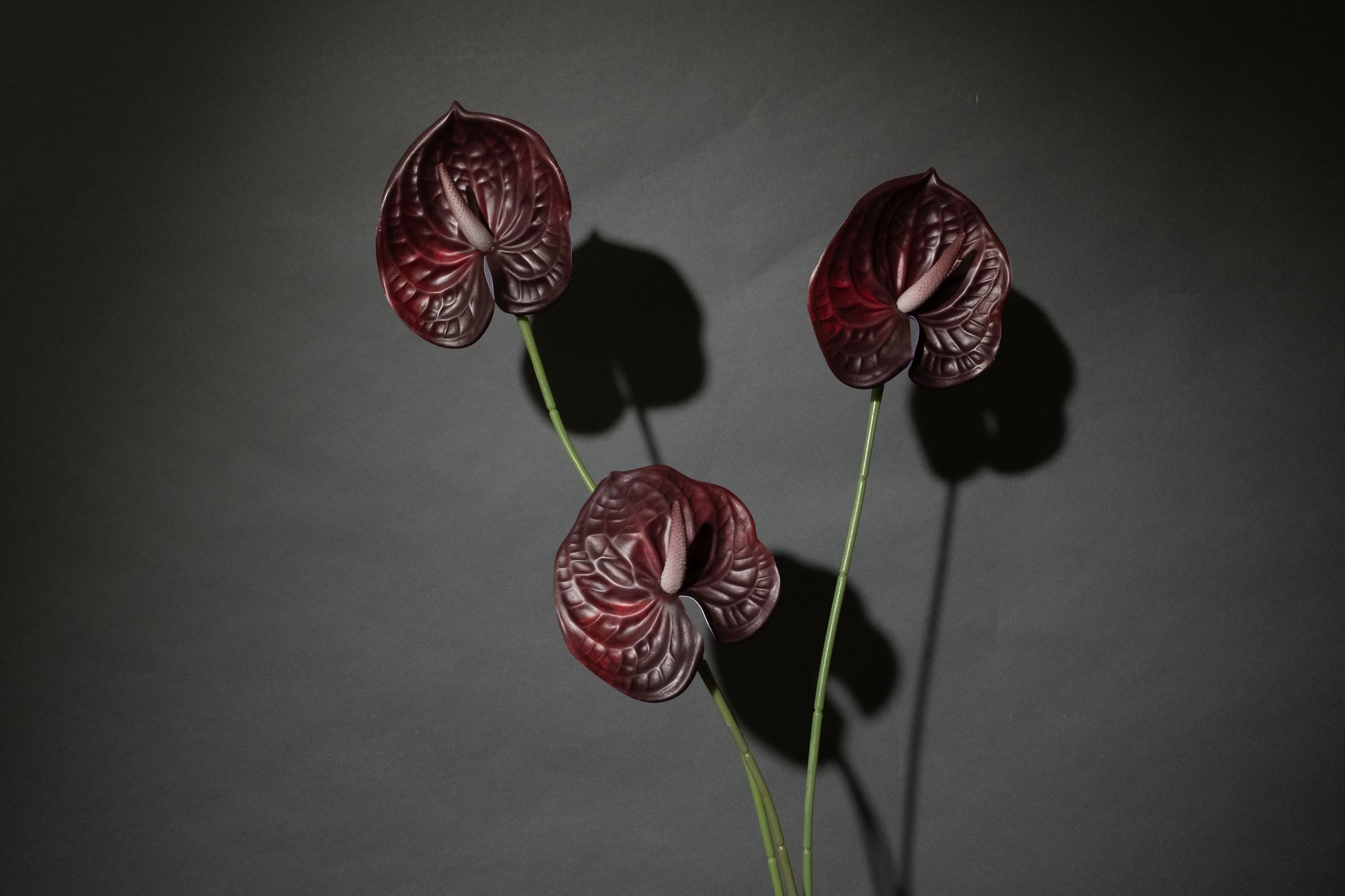 Detailaufnahme einer Kunstblume mit matter Oberflaeche und geprägter Blattstruktur