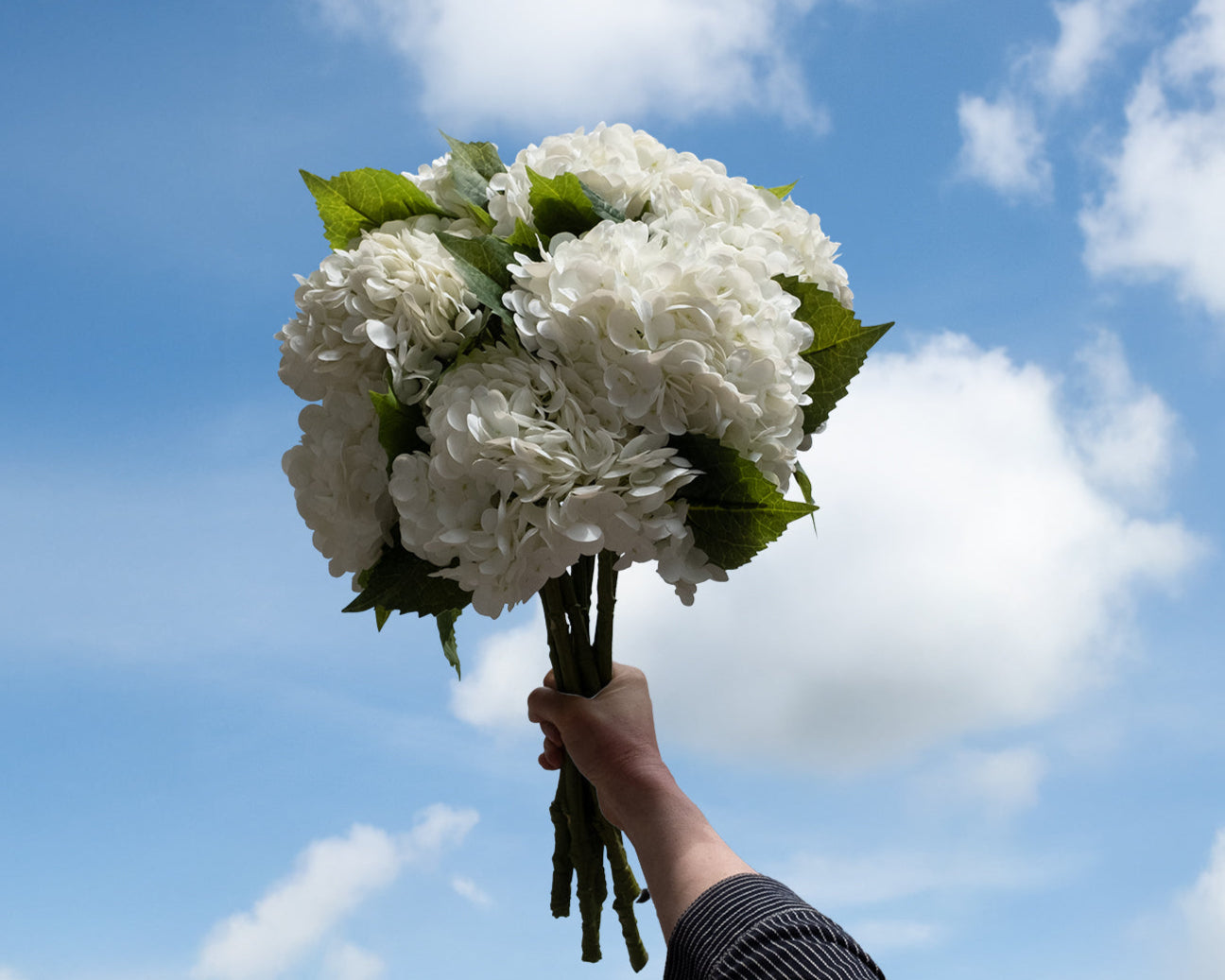 Weisser Hortensienstrauss aus Seidenblumen in einem dunklen Raum