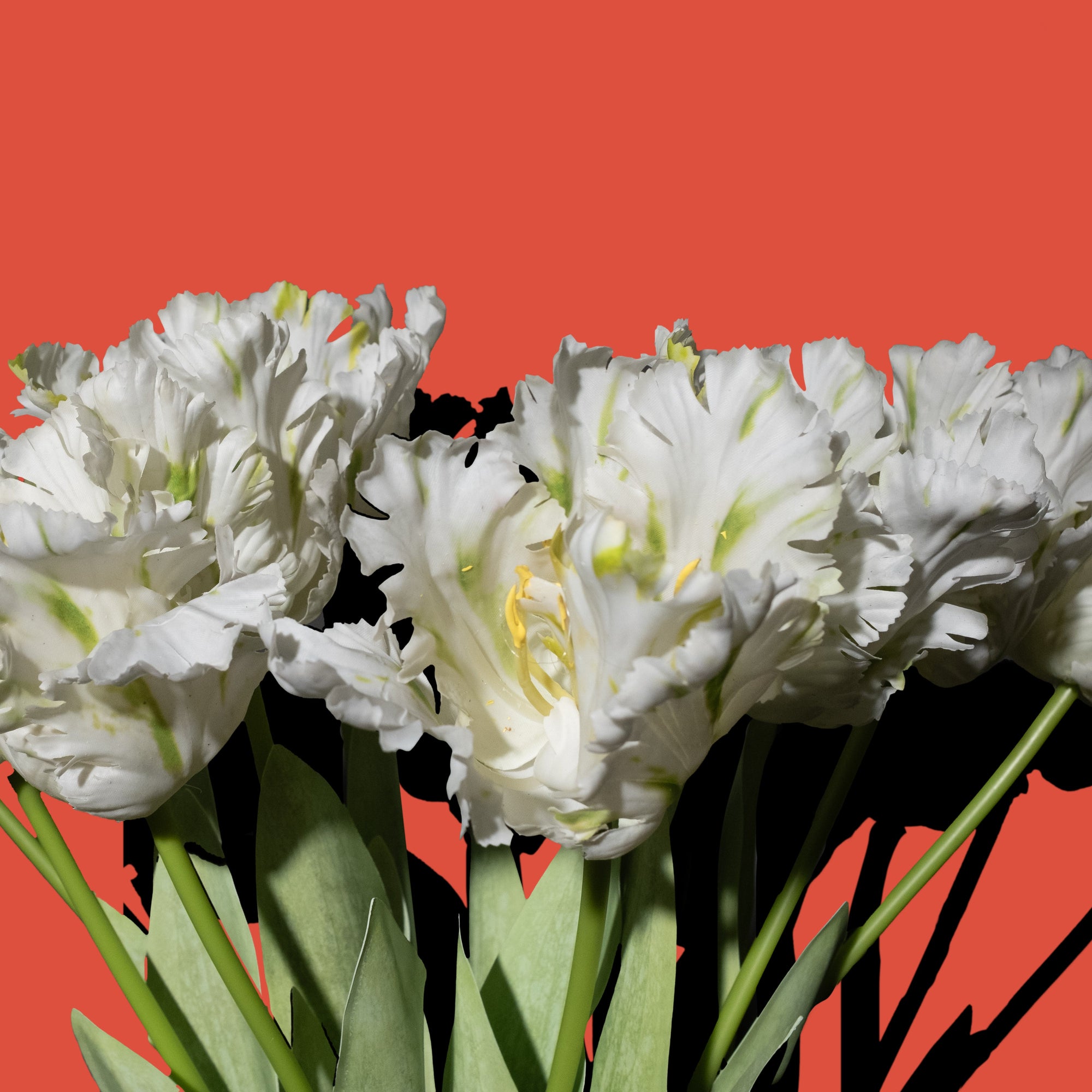 Weisse Papageientulpen aus Seidenblumen