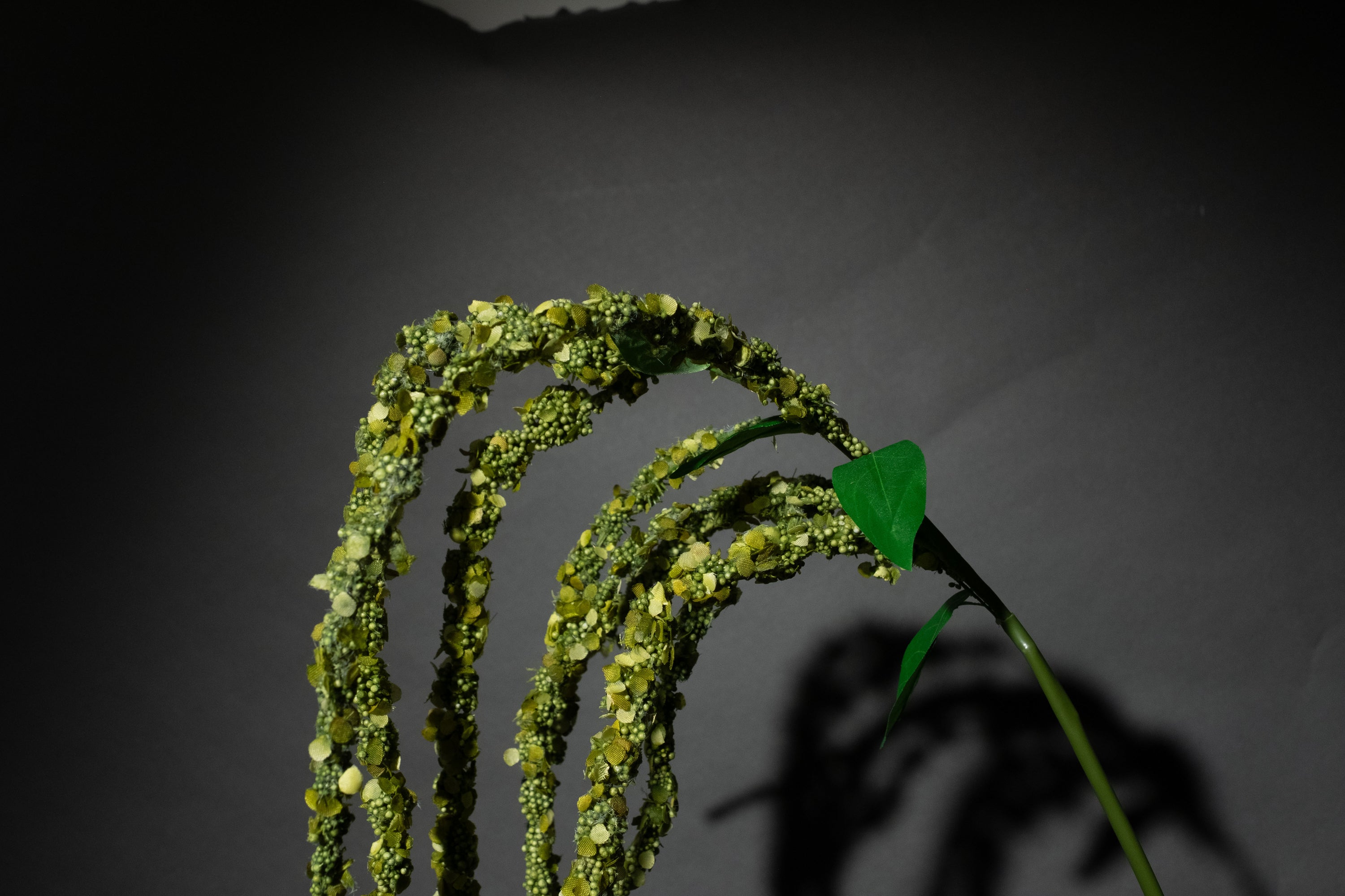 Grüne Amaranthus Blume