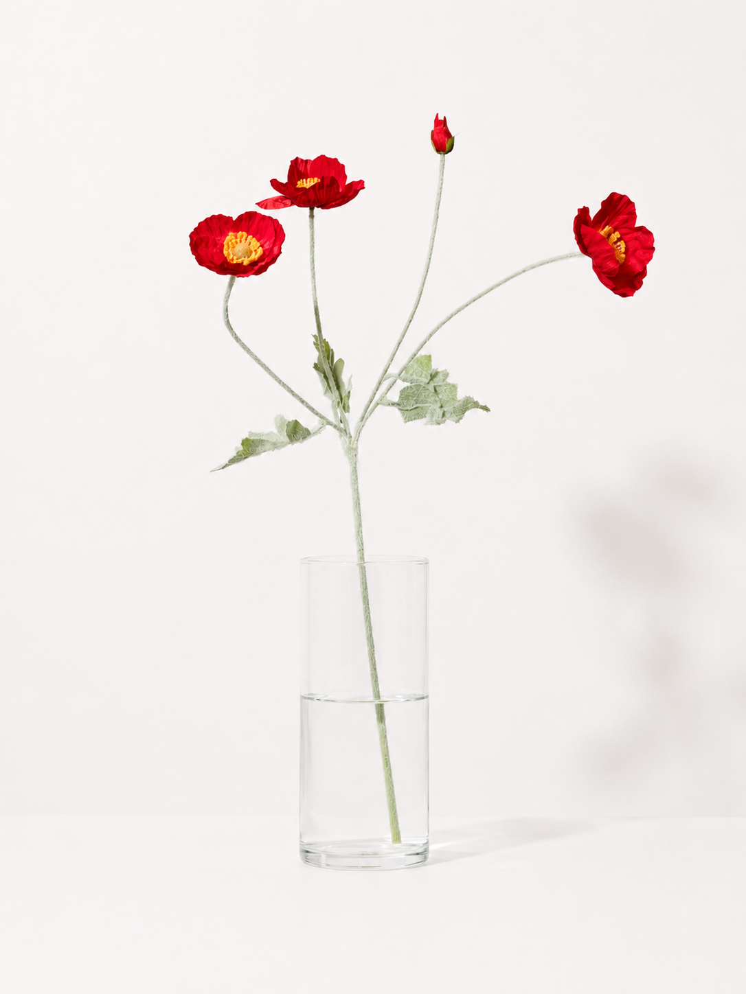 Rote Mohnblume