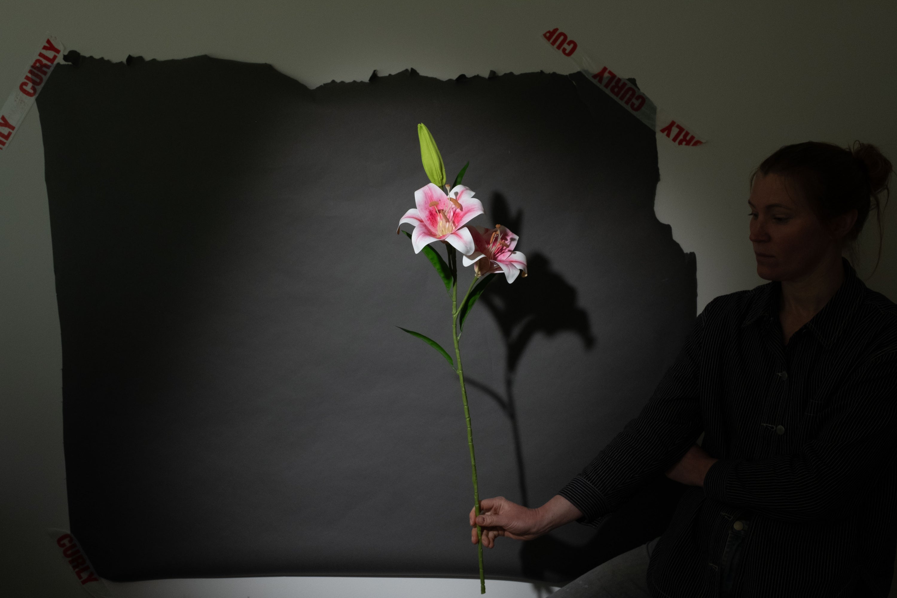 Rosa Lilie groß