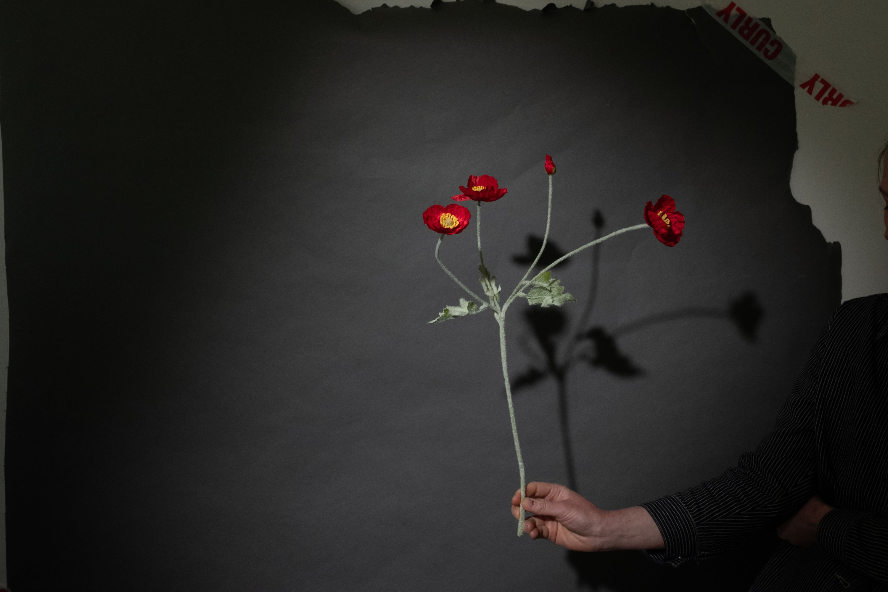 Rote Mohnblume