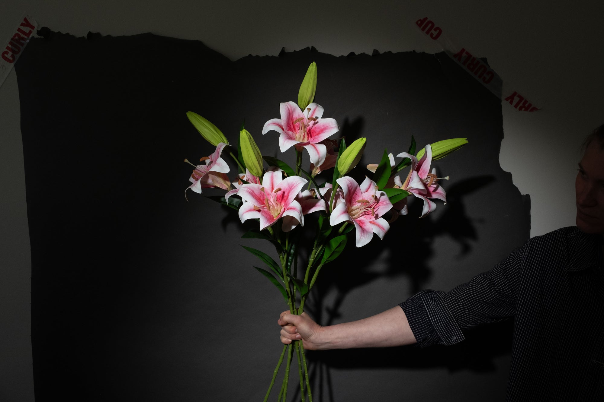 Lily oh Lily