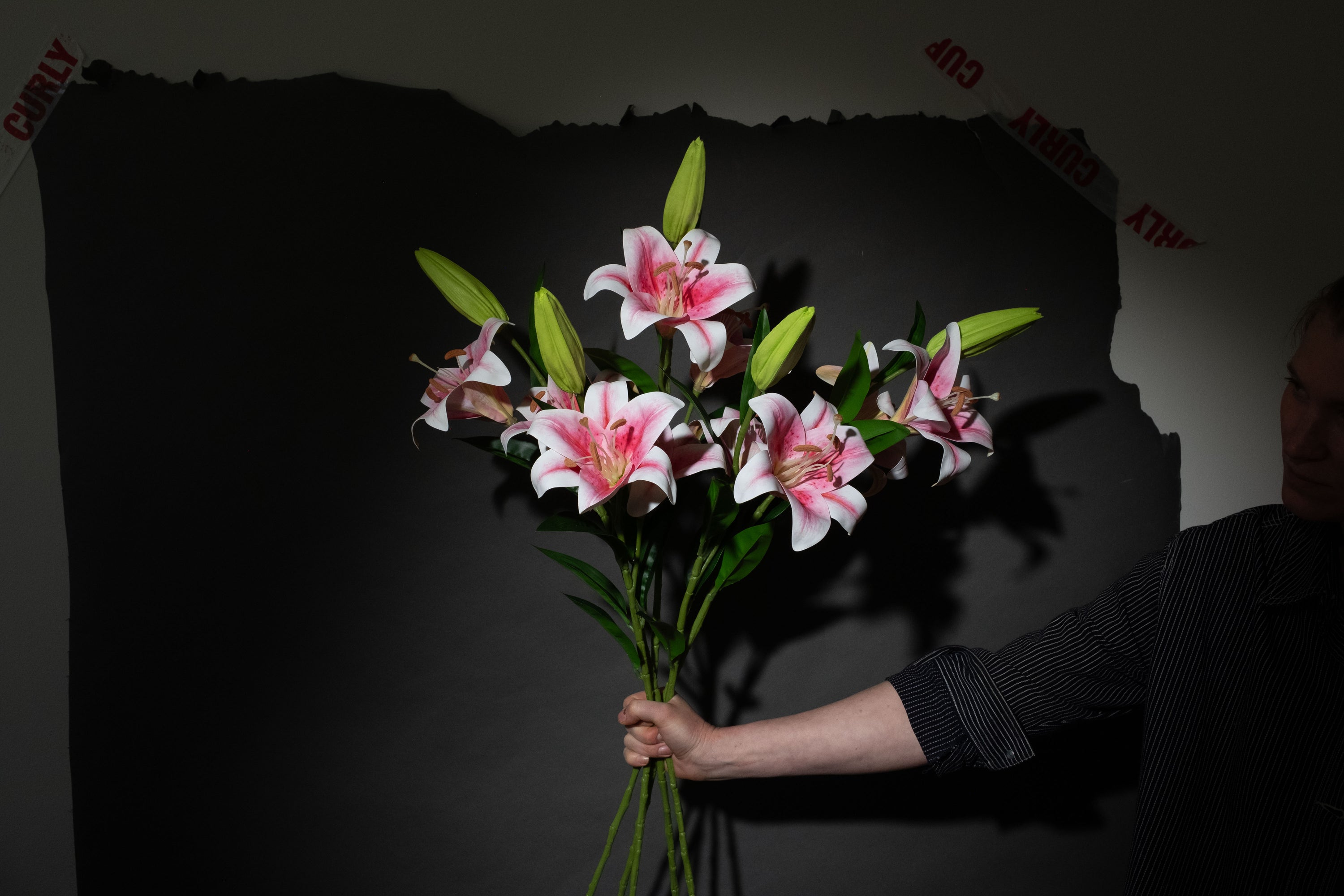 Lily oh Lily