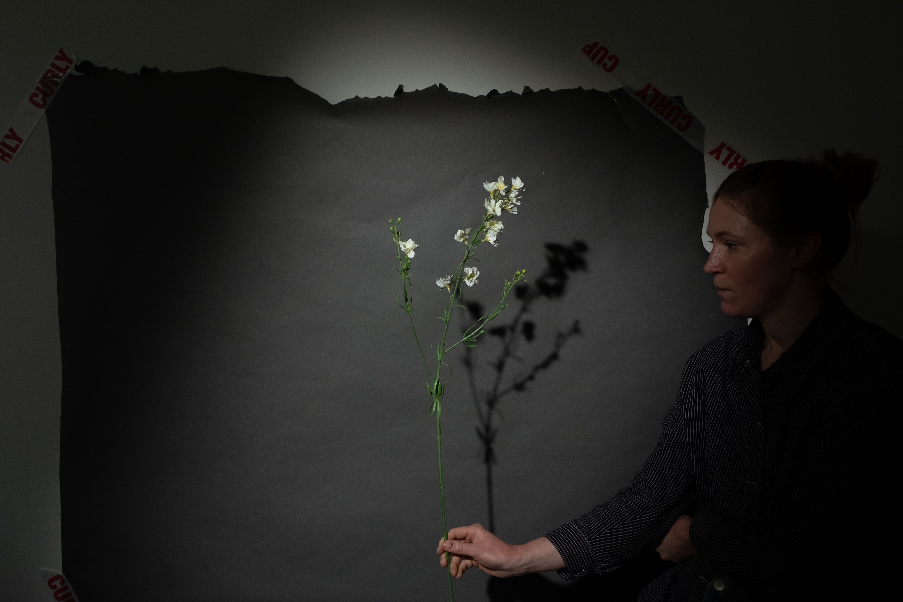 Weiße Wildblume